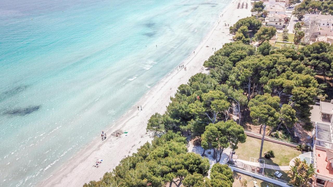 Villa Acacias Alcúdia Esterno foto